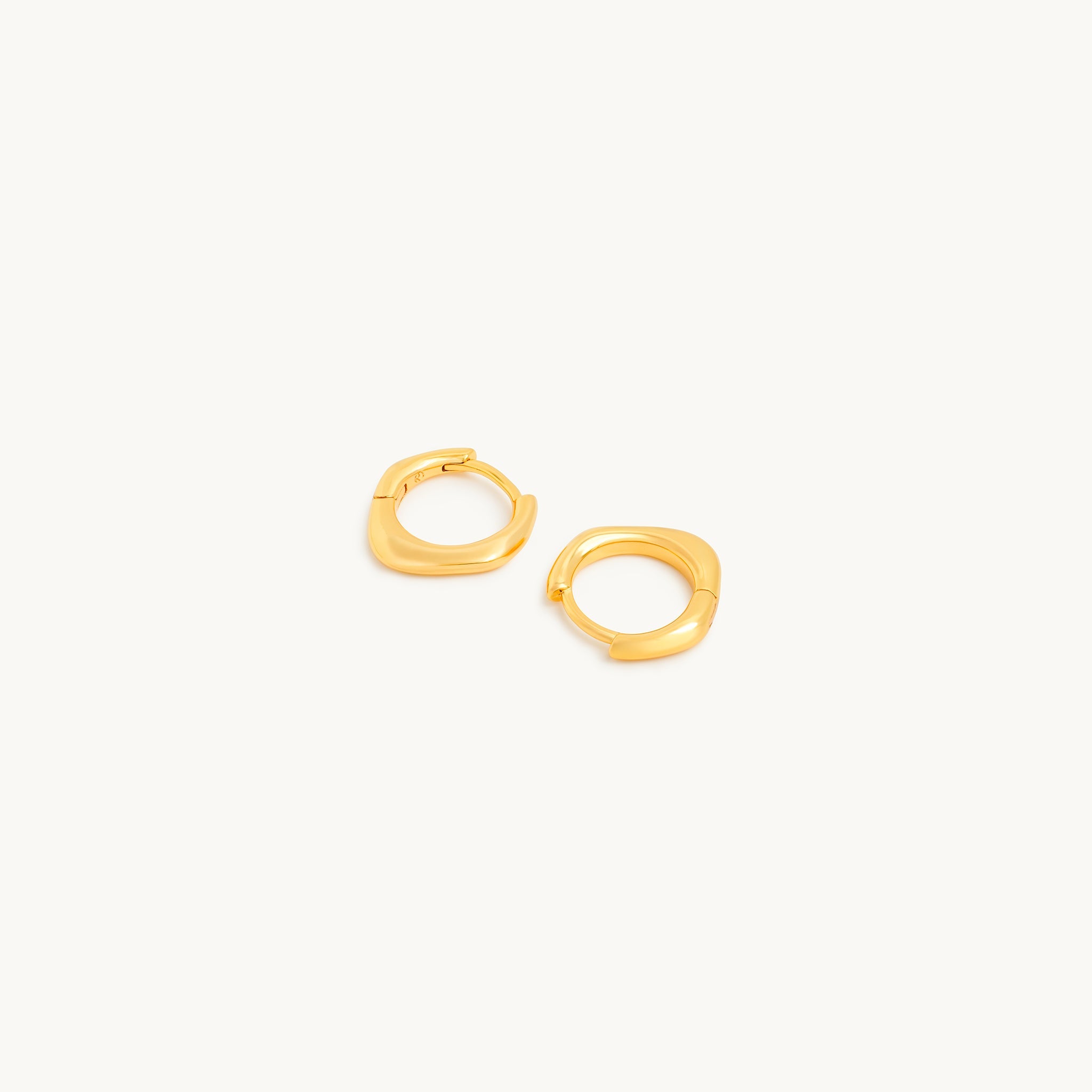 Shape of Water Earrings